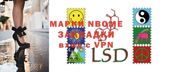 сатива Волоколамск