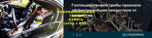 сатива Волоколамск