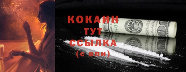 сатива Волоколамск