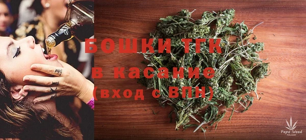 сатива Волоколамск