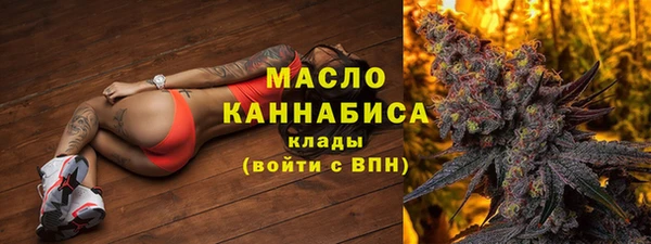 сатива Волоколамск