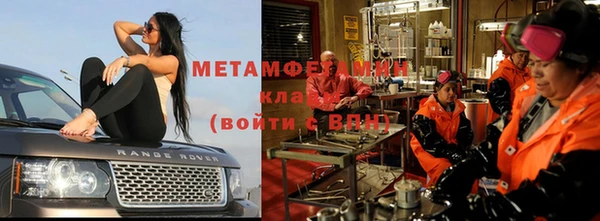 сатива Волоколамск