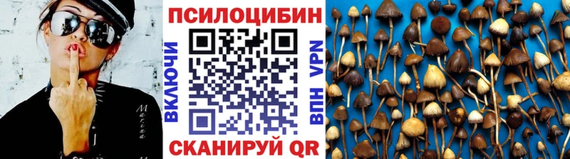 мега зеркало  Дмитровск  Псилоцибиновые грибы прущие грибы  где можно купить  